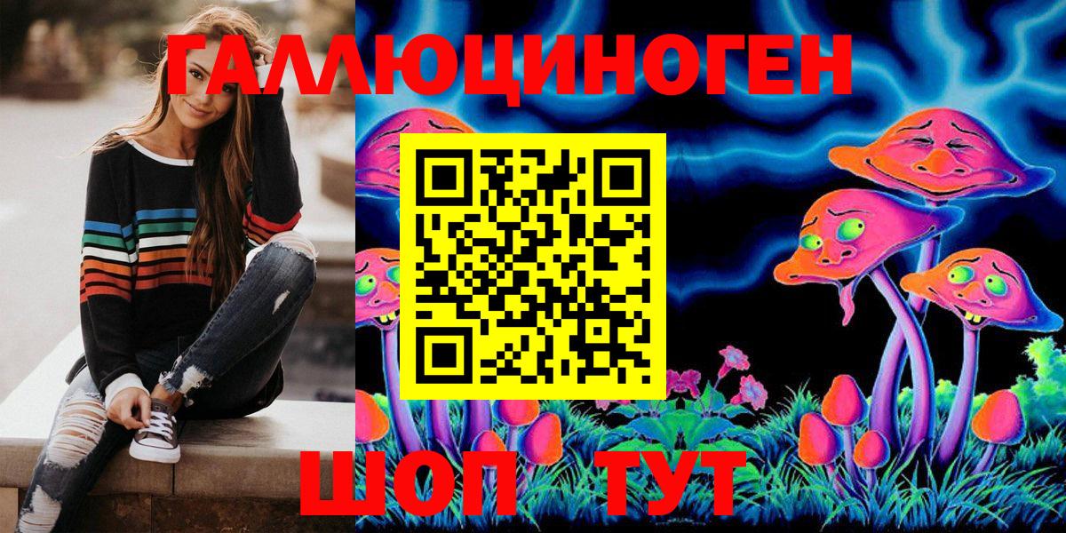 Псилоцибиновые грибы Psilocybe Чернушка